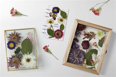 How to Preserve Flowers: A Guide to Eternal Blooms and the Art of Letting Go